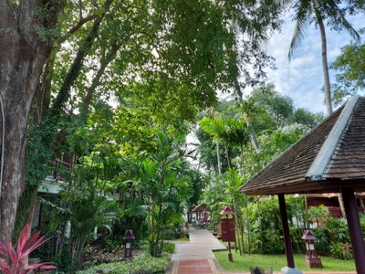 บริเวณโดยรอบ