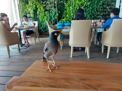 ห้องอาหาร