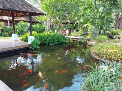 บริเวณโดยรอบ