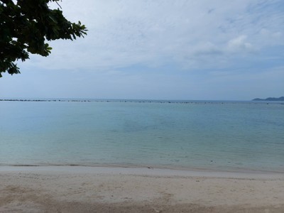 สระว่ายน้ำ/ชายหาด