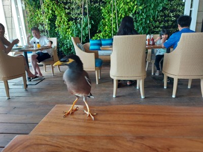 ห้องอาหาร