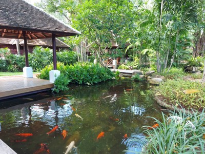 บริเวณโดยรอบ