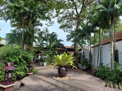 บริเวณโดยรอบ