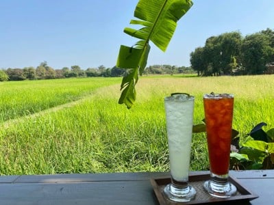 บ้านมะขวิด