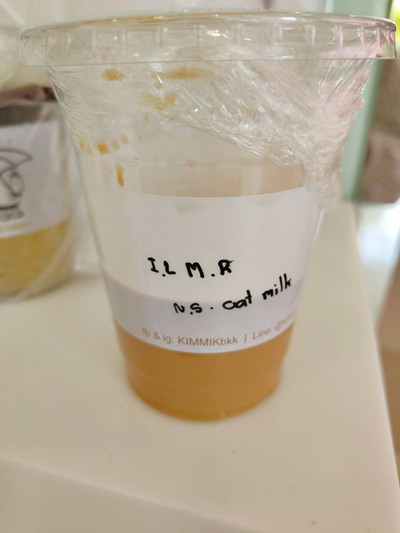 Iced Latte (Oat Milk)