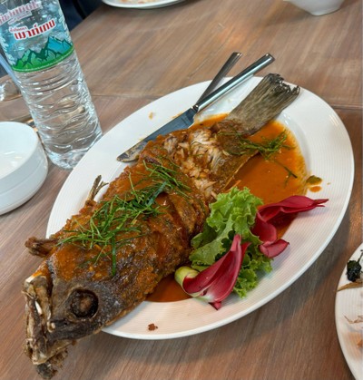 ปลาเก๋าฉู่ฉีื