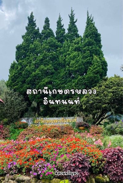 เชียงใหม่เชียงใจ ตค 2567