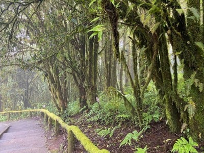 เชียงใหม่เชียงใจ ตค 2567