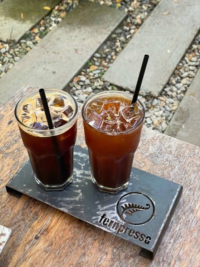 Fernpresso at Lake มหาวิทยาลัยเชียงใหม่