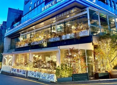 schedule cheongdam