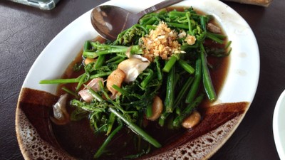 ผัดยอดมะระ