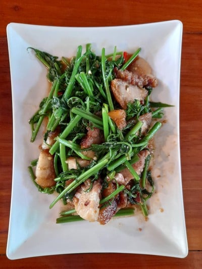 ผัดผักกูดหมูกรอบ