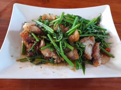 ผัดผักกูดหมูกรอบ