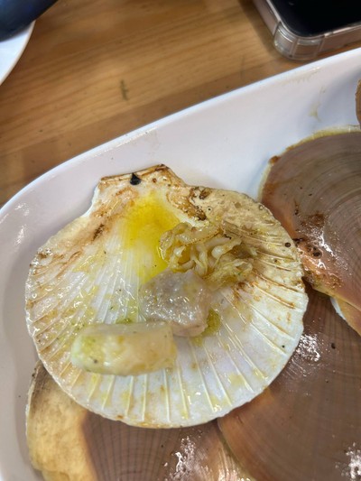 หอยเชลล์ทรงเครื่อง (เล็ก)