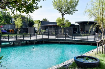 Sinsa Korean BBQ อร่อยสุดคุ้มบุฟเฟต์ชาบูเกาหลี พุทธมณฑลสาย 2