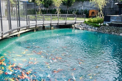 Sinsa Korean BBQ อร่อยสุดคุ้มบุฟเฟต์ชาบูเกาหลี พุทธมณฑลสาย 2