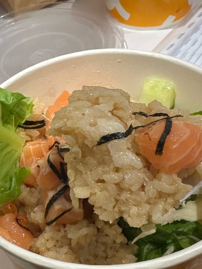 Salmon bowl Set