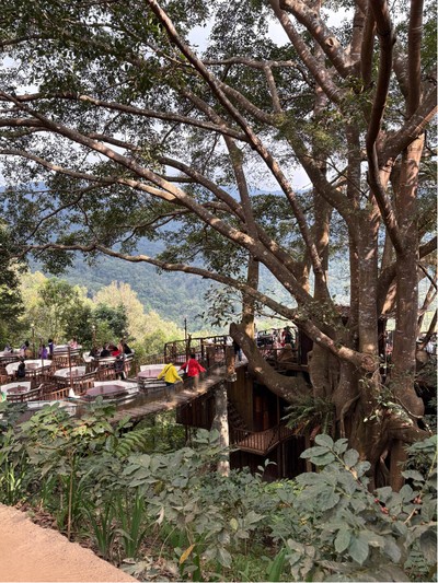 🌅 บรรยากาศร้าน.