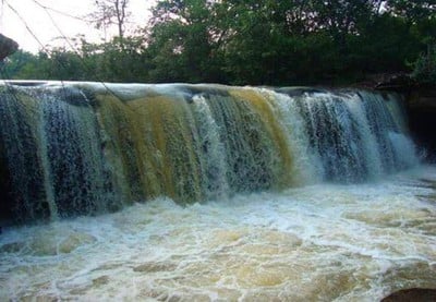 รูปจาก สำนักอุทยานแห่งชาติ