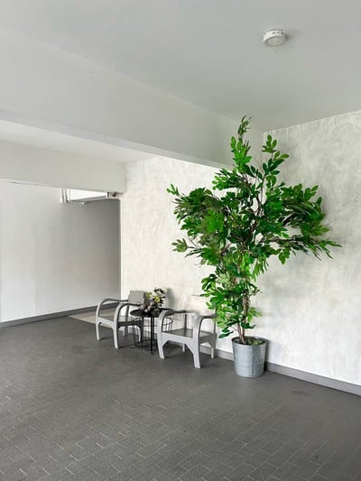 บริเวณโดยรอบ