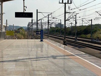 
China Food Trip (Shandong / Guangzhou / Shenzhen)