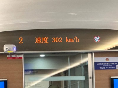 
China Food Trip (Shandong / Guangzhou / Shenzhen)