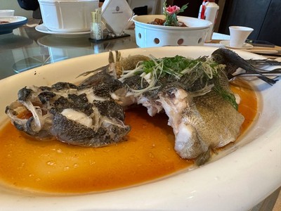 
China Food Trip (Shandong / Guangzhou / Shenzhen)