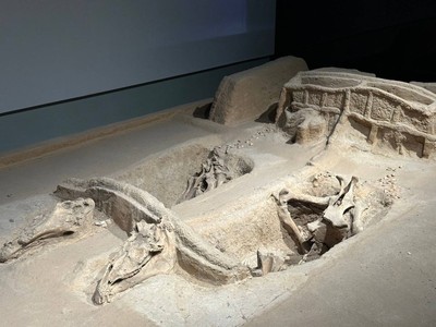 
China Food Trip (Shandong / Guangzhou / Shenzhen)