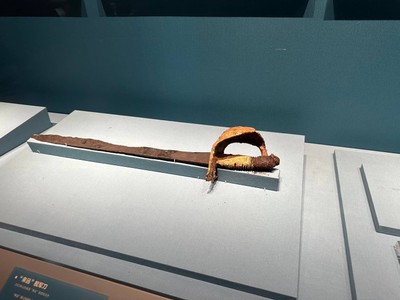 
China Food Trip (Shandong / Guangzhou / Shenzhen)