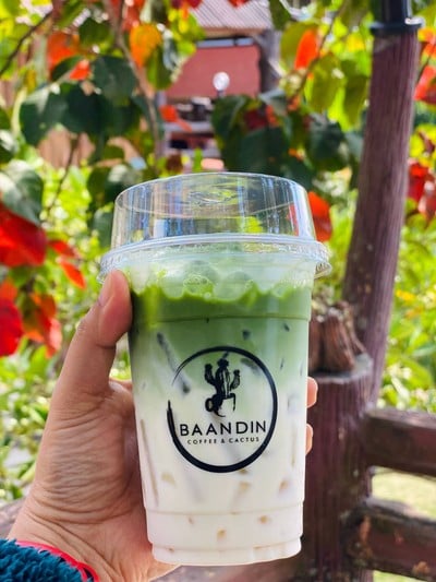 มัทฉะพรีเมียม