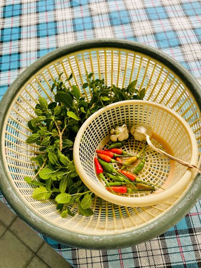 วิธีทำ ผัดกะเพราเทมเป้(สูตรคลีน... มั้ง)