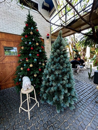 บรรยากาศ