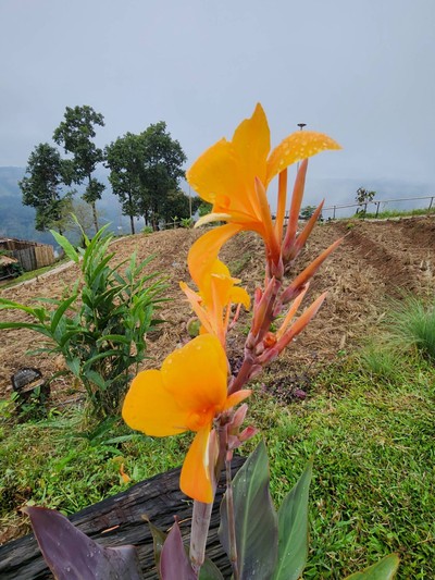 วิวนอกห้อง