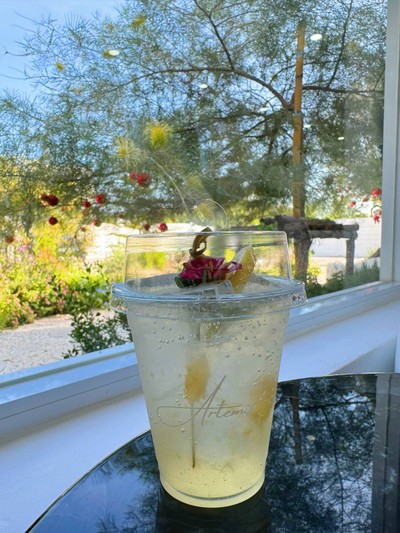 บ๊วยเลมอนโซดา