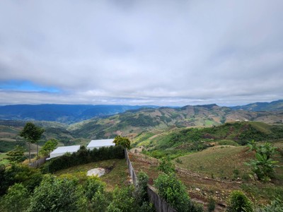 วิวนอกห้อง