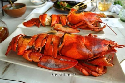 Lobster