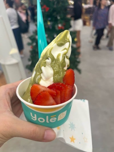 Medium Cup Frozen Yogurt