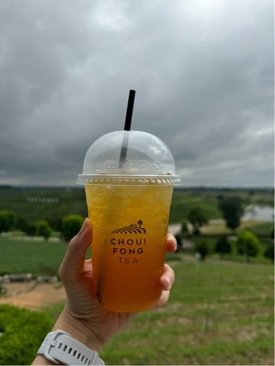 ชาอู่หลง