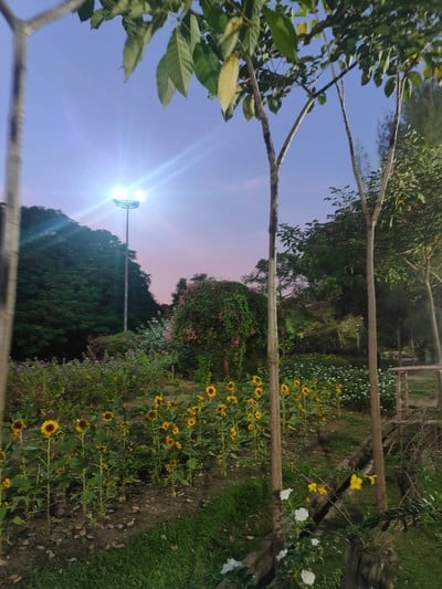 บรรยากาศ