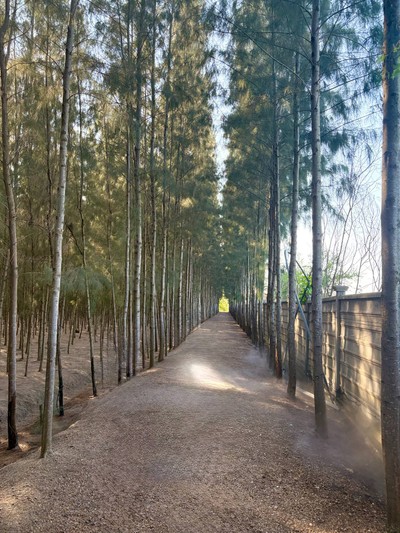 บรรยากาศ