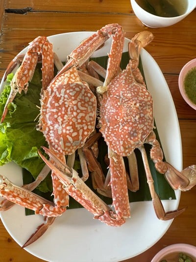 ปูม้านึ่ง