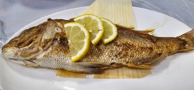 Grilled Sea Bream