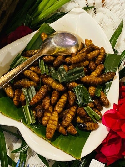 ดักแด้ทอด