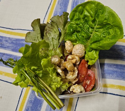 ตำหลวงพระบาง