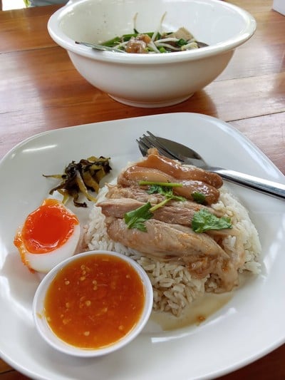 ข้าวขาหมูเนื้อหนัง ธรรมดา