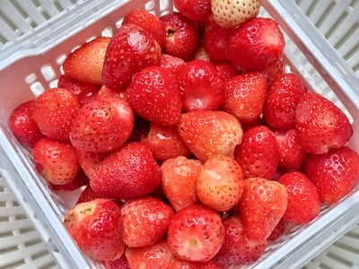 วิธีทำ สตอเบอร์รี่เคลือบช็อกโกแลต วิธีทำ สตอเบอร์รี่เคลือบช็อกโกแลต