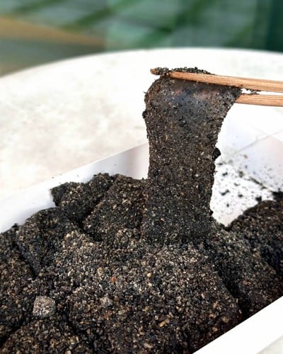 Black Sesame