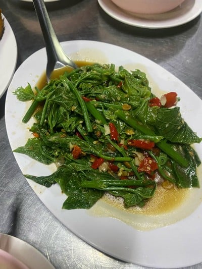 ยอดมะระไฟแดง