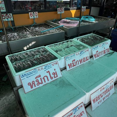 อื่นๆ