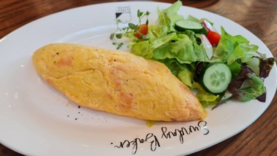 Salmon Omlet